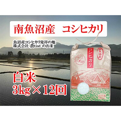 2023年7月発送開始『定期便』南魚沼産コシヒカリ 白米 3kg 全12回