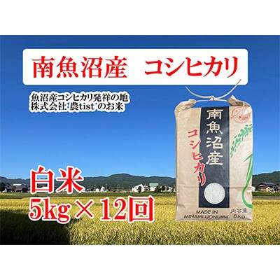 2023年3月発送開始『定期便』南魚沼産コシヒカリ 白米 5kg 全12回