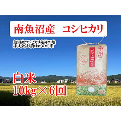 2023年3月発送開始『定期便』南魚沼産コシヒカリ 白米 10kg 全6回