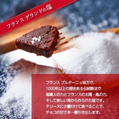 テリーヌド・ショコラ 塩付 1本 新潟県 南魚沼市