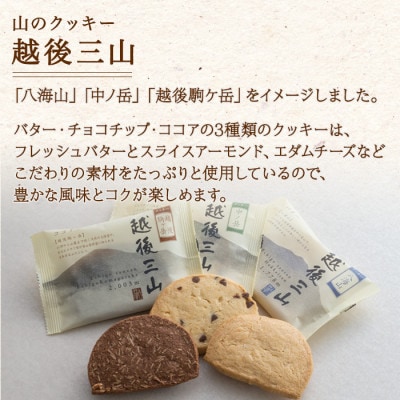 越後三山 クッキー バター チョコチップ ココア 焼き菓子 12個