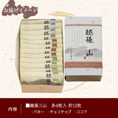 越後三山 クッキー バター チョコチップ ココア 焼き菓子 12個