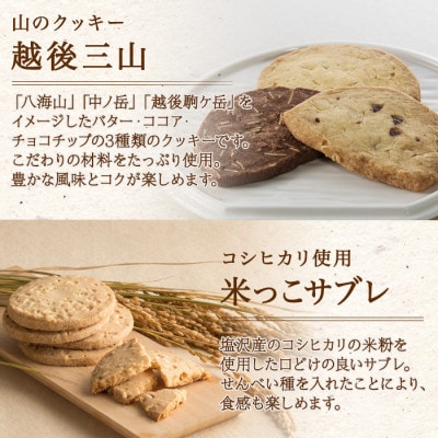 【無地熨斗】新潟県南魚沼市　ことうの『越後三山・米っこサブレ・三國バウム』セット計14個