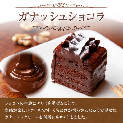 【無地熨斗】ガナッシュショコラ 計1個 新潟県 南魚沼市