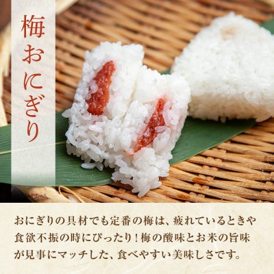 おにぎり 梅 80g×計6個 コシヒカリ 魚沼産 新潟県 南魚沼市