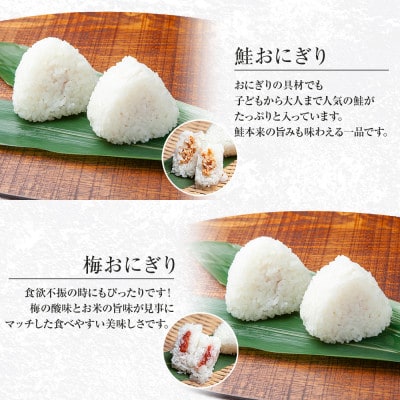 【無地熨斗】おにぎり 鮭 梅 80g×計6個 コシヒカリ 南魚沼産