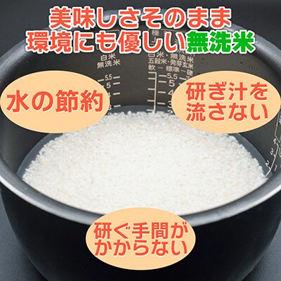 【毎月定期便】≪無洗米≫南魚沼産こしひかり 精米 5kg 全9回