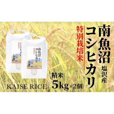南魚沼産塩沢コシヒカリ【従来品種】(特別栽培米)精米5kg×2個
