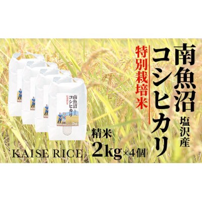 南魚沼産塩沢コシヒカリ【従来品種】(特別栽培米)精米2kg×4個