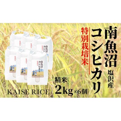 南魚沼産塩沢コシヒカリ【従来品種】(特別栽培米)精米2kg×6個