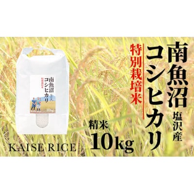 南魚沼産塩沢コシヒカリ【従来品種】(特別栽培米)精米10kg