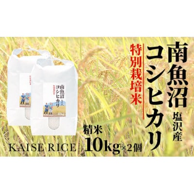 南魚沼産塩沢コシヒカリ【従来品種】(特別栽培米)精米10kg×2個
