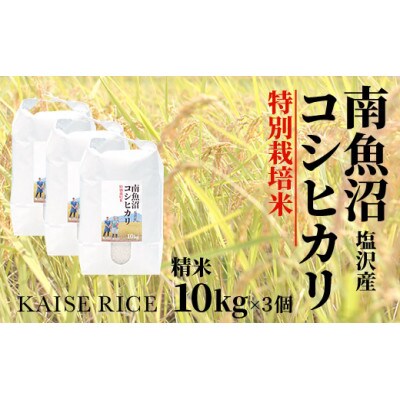 南魚沼産塩沢コシヒカリ【従来品種】(特別栽培米)精米10kg×3個