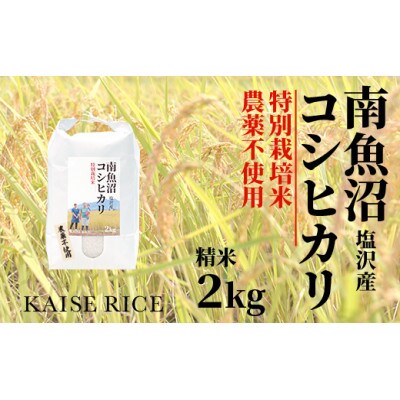 南魚沼産塩沢コシヒカリ【従来品種】(栽培期間中農薬不使用)精米2kg