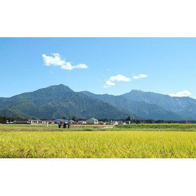 南魚沼産塩沢コシヒカリ【従来品種】(栽培期間中農薬不使用)精米2kg×2個