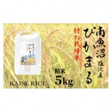 南魚沼産ぴかまる精米5kg