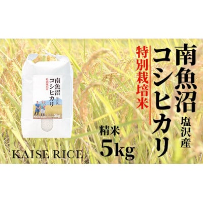 【毎月定期便】南魚沼しおざわコシヒカリ【特別栽培米】精米5kg従来品種 全3回