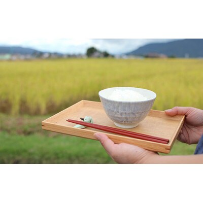 【毎月定期便】南魚沼しおざわコシヒカリ【特別栽培米】精米5kg従来品種 全3回
