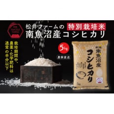 【毎月定期便】【無洗米】南魚沼産コシヒカリ～特別栽培米～5kg全12回