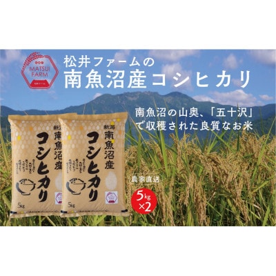 【毎月定期便】南魚沼産コシヒカリ 精米[10kg(5kg×2袋)]全12回
