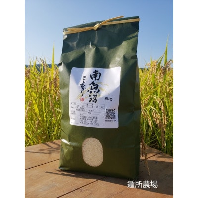 遁所農場の南魚沼産コシヒカリ　5kg