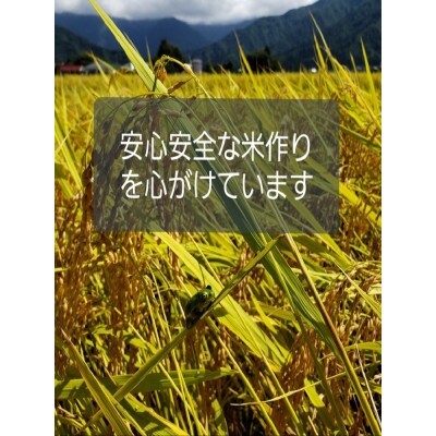 遁所農場の南魚沼産コシヒカリ　5kg
