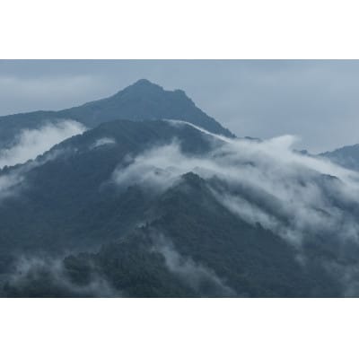 新米予約【令和8年産】南魚沼塩沢産コシヒカリ「然然」　栽培期間中、農薬5割減栽培　玄米5kg