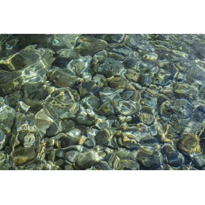【毎月定期便】南魚沼塩沢産コシヒカリ「貝瀬農園米」無洗米10kg(5kg2袋)全6回