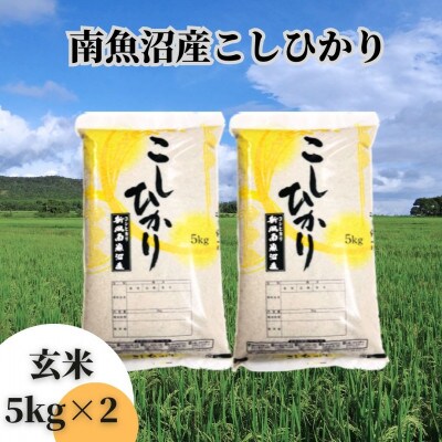【令和6年産 新米】【新潟県 特A地区】南魚沼産こしひかり　玄米10kg(5kg×2袋)