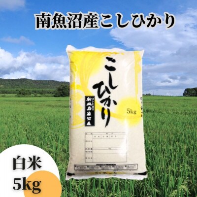 【令和6年産 新米】【新潟県 特A地区】南魚沼産こしひかり　白米5kg