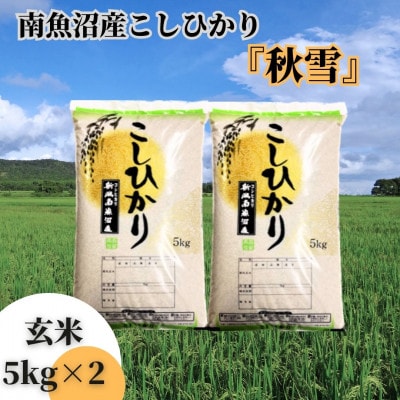 【令和6年産 新米】南魚沼産こしひかり「秋雪」玄米10kg 新潟県の特A地区南魚沼市の美味しいお米