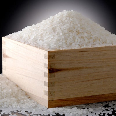 【令和7年産 新米】南魚沼産こしひかり「秋雪」無洗米10kg 新潟県の特A地区南魚沼市の美味しいお米
