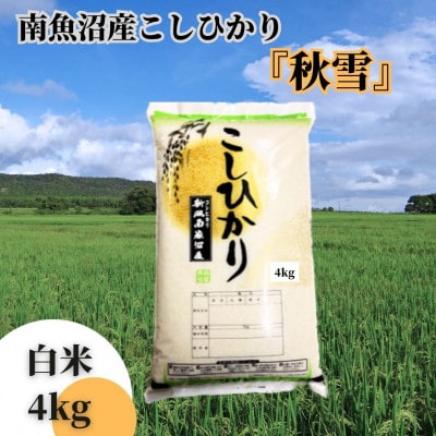 【令和7年産 新米】南魚沼産こしひかり「秋雪」白米4kg 新潟県の特A地区南魚沼市の美味しいお米