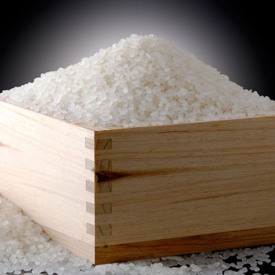 【令和7年産 新米】南魚沼産こしひかり「秋雪」白米4kg 新潟県の特A地区南魚沼市の美味しいお米