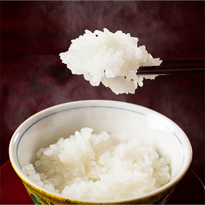 【毎月定期便】南魚沼産こしひかり「秋雪」白米10kg 新潟県特A地区の美味しいお米 上旬発送全12回