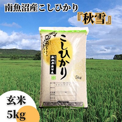 【毎月定期便】南魚沼産こしひかり「秋雪」玄米5kg 新潟県特A地区の美味しいお米 下旬発送 全9回