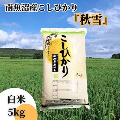 【毎月定期便】南魚沼産こしひかり「秋雪」白米5kg 新潟県の特A地区南魚沼市の美味しいお米 全12回