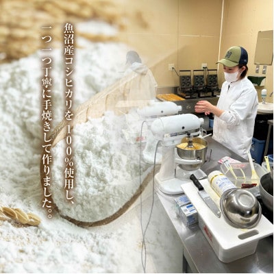 熨斗つき コパフーズの米粉&玄米粉 ドーナツ 5種 20個セット グルテンフリー 新潟県南魚沼市