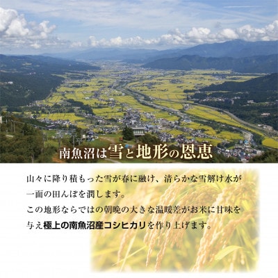 新潟県 南魚沼産 コシヒカリ 【従来品種】 塩沢地区 10kg(美味しいお米の炊き方ガイド付き)