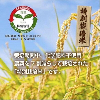 特別栽培米　新潟県 南魚沼産 コシヒカリ 塩沢地区 30kg (美味しいお米の炊き方ガイド付き)