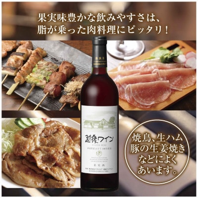 越後ワイン 赤 750ml 越後ワイナリーの辛口 ミディアムボディ 魚沼ワイン