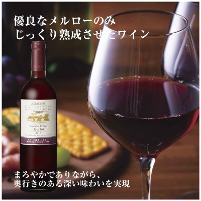 ドメーヌ・越後メルロー  赤 750ml 2本セット 越後ワイナリーの辛口 ミディアムボディ 南魚沼