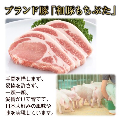 和豚もちぶたと国産牛の合挽肉 メンチカツ 約100g×2個 4パック