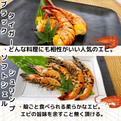 【魚市場直送】越後味噌漬　漬魚+ブラックタイガー+ソフトシェルシュリンプ+エゴ板セット