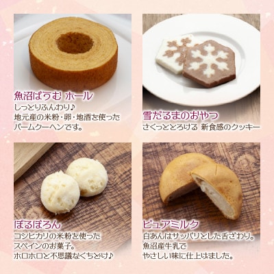 NATURA ギフトセットB 10個 焼き菓子 詰合せ 魚沼ばうむ ナトゥーラ 新潟県 南魚沼市