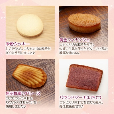 NATURA ギフトセットB 10個 焼き菓子 詰合せ 魚沼ばうむ ナトゥーラ 新潟県 南魚沼市