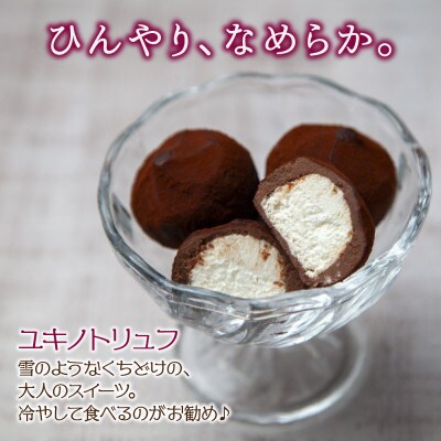ユキノトリュフ 8個 2箱 チョコレート ギフト 冷凍 魚野の里 ナトゥーラ 新潟県 南魚沼市