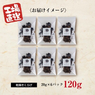雪国育ちの魚沼ゆきくらげ 国産「乾燥きくらげ」 20g×6パック 計120g