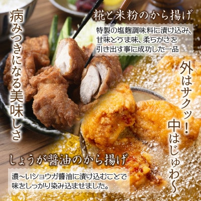 糀と米粉のから揚げ・しょうが醤油唐揚げ・半身あげ カレー 各1パック  新潟県 南魚沼市