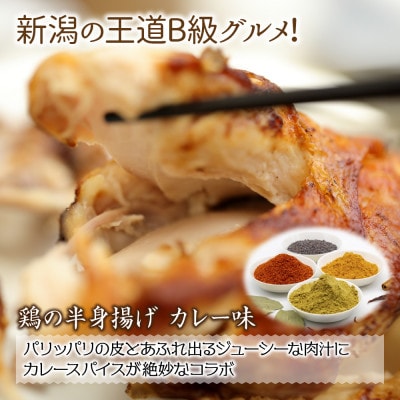糀と米粉のから揚げ・しょうが醤油唐揚げ・半身あげ カレー 各1パック  新潟県 南魚沼市